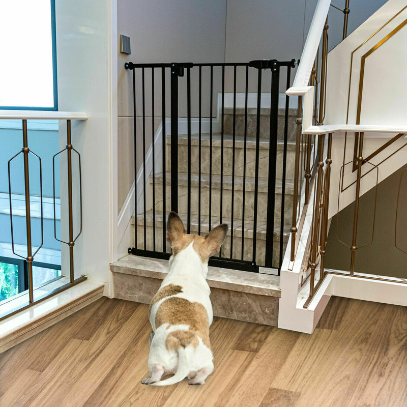 Tucker Murphy Pet™ Wall Mounted Pet Gate Wayfair
